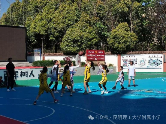 篮球训练心得体会200字左右作文_1
